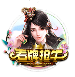 梗概是什么意思啊